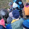 02 Aktion Februar 25 Tiere im Winterwald